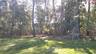 Cottage 301 à Morton