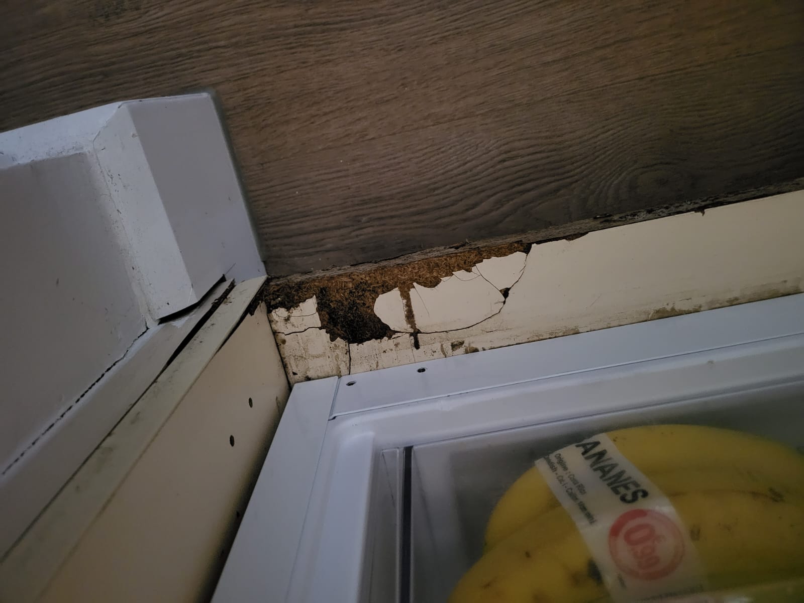 Photo n° 9 de l'avis de M... fait le 28/08/2022 à 14:41