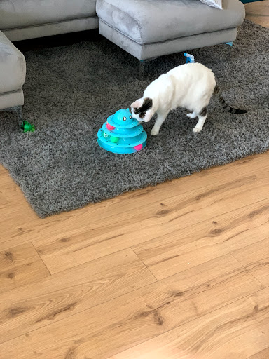 Pet Supply Store «PetSmart», reviews and photos, 220 Commerce Blvd, Fairless Hills, PA 19030, USA