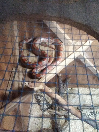 Nature Preserve «Rancocas Nature Center», reviews and photos, 794 Rancocas Mt Holly Rd, Westampton, NJ 08060, USA