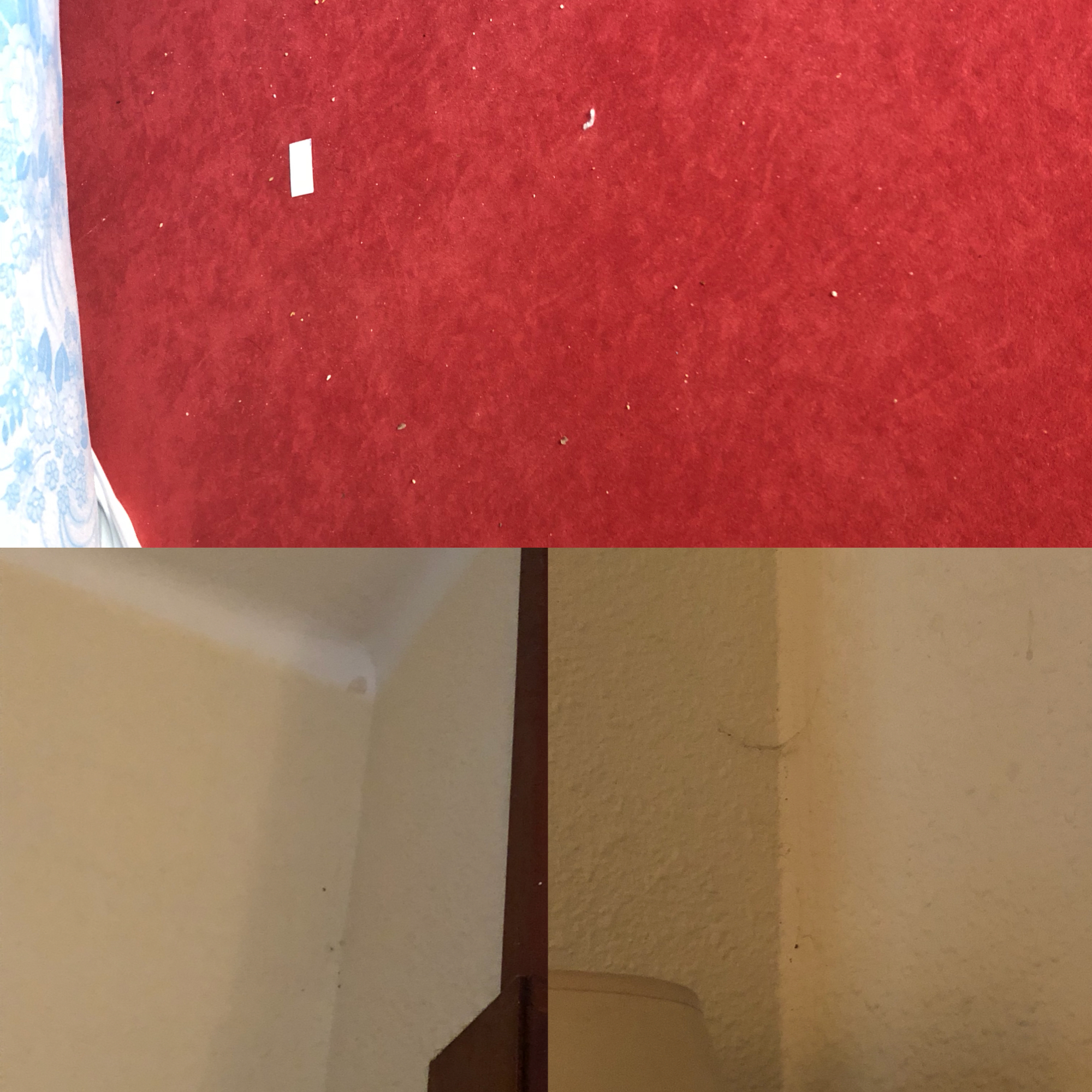 Photo n° 1 de l'avis de Céline.a fait le 18/07/2018 à 13:09