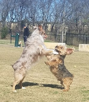 NorthBark Dog Park - photo 55