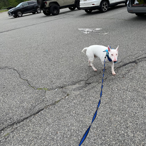 Pet Supply Store «PetSmart», reviews and photos, 50 International Dr S, Flanders, NJ 07836, USA