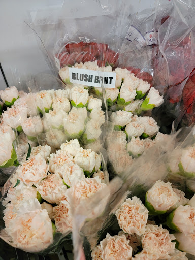 Florist «Botanica Wholesale Florist», reviews and photos, 3208 International Pl, Irving, TX 75062, USA