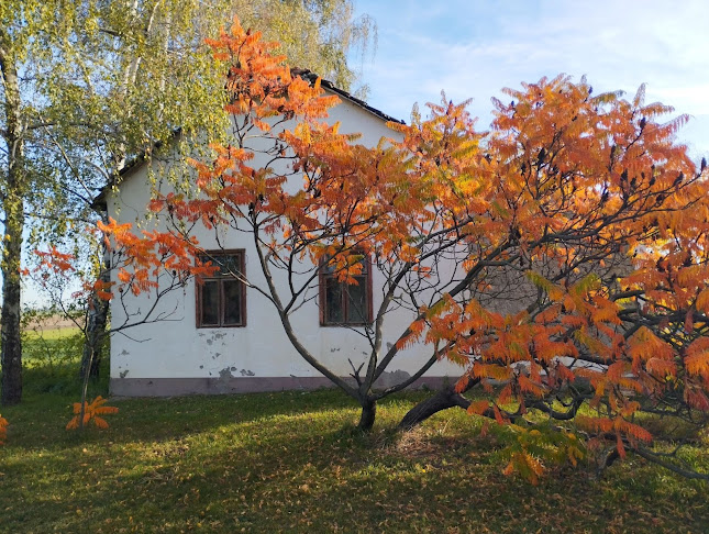 Domicil.Hu Kft - Ingatlaniroda