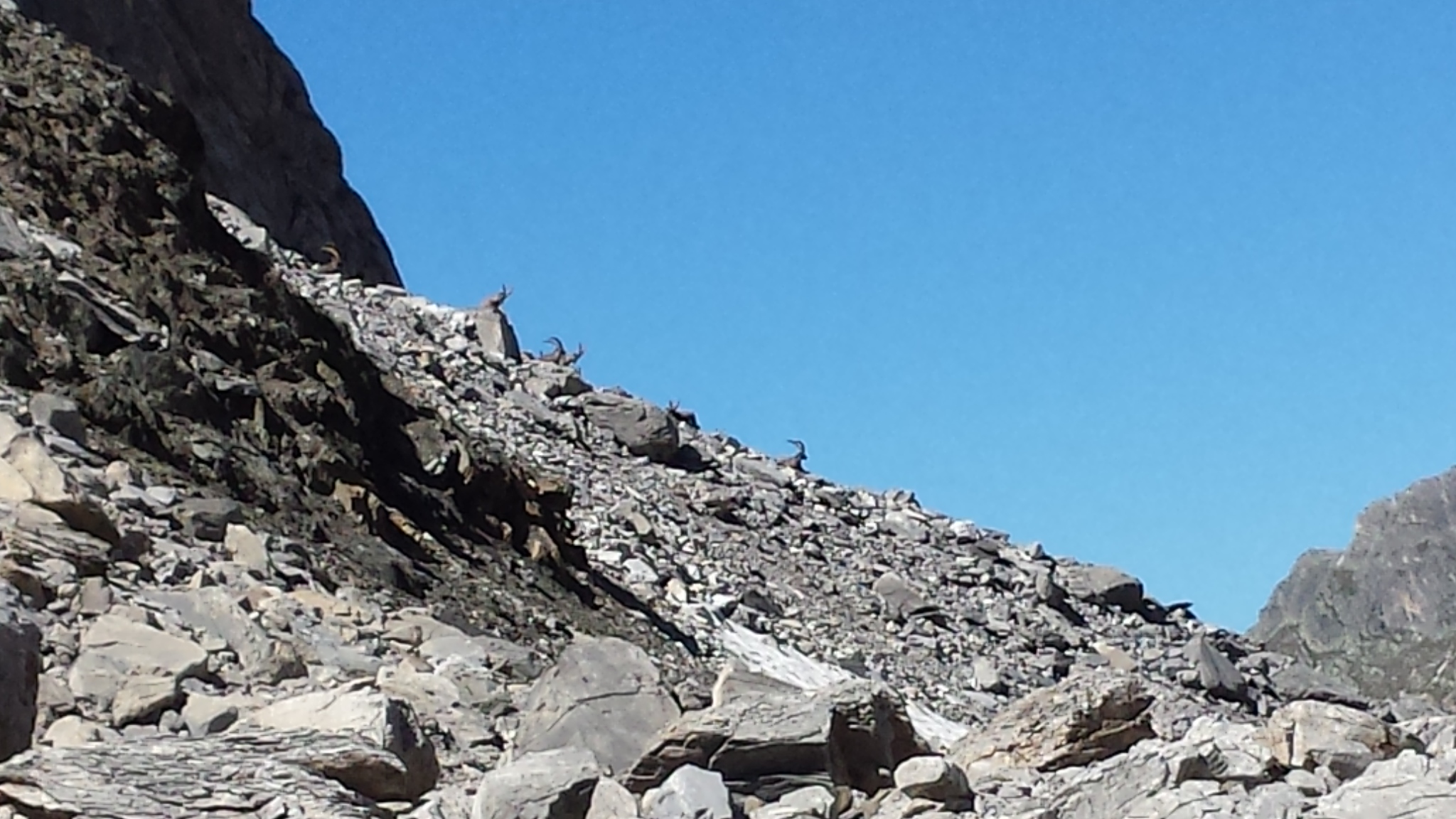 Photo n° 2 de l'avis de SANDRAZ.e fait le 25/08/2017 à 07:58