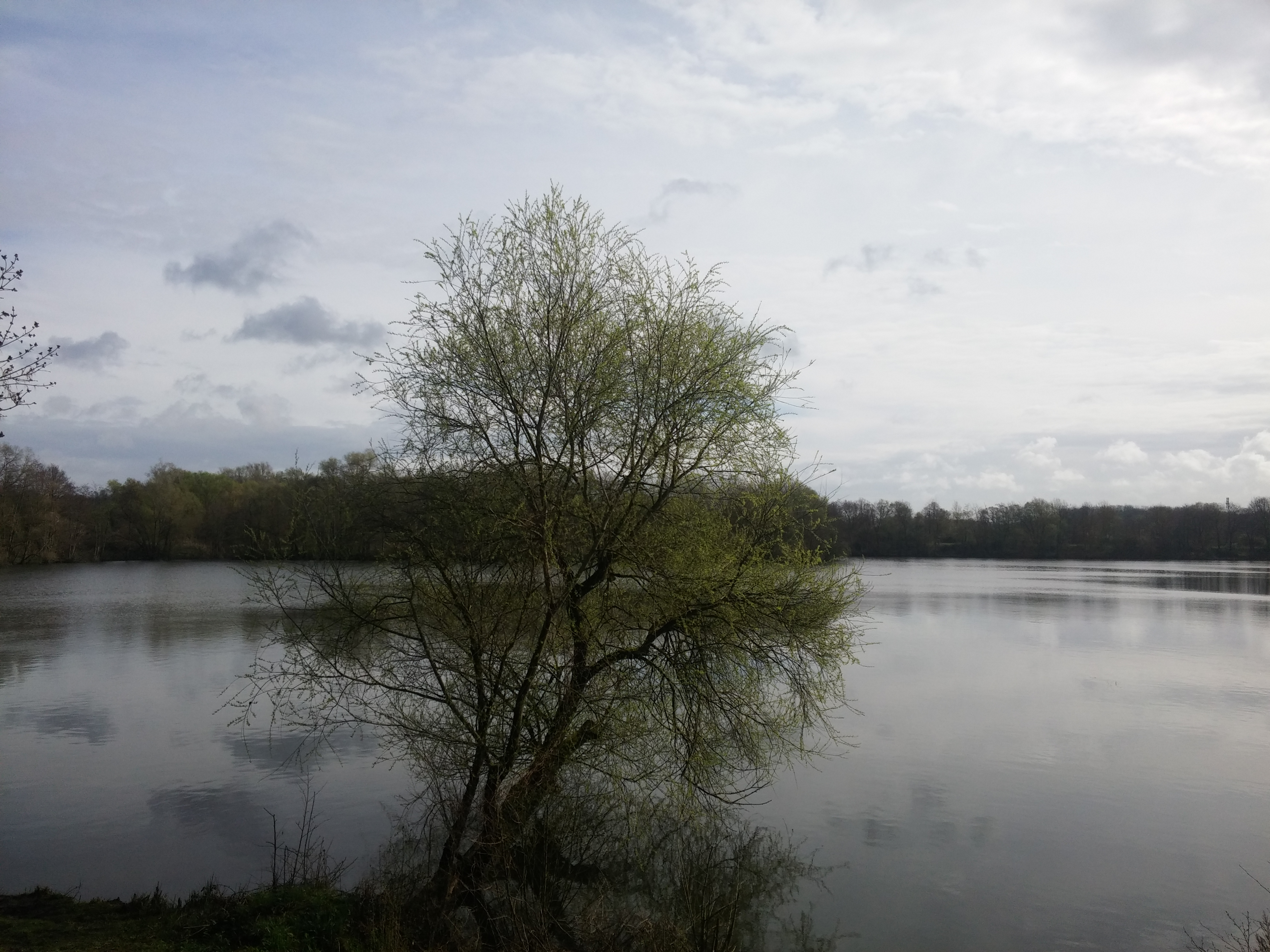 Photo n° 2 de l'avis de Loetitia.e fait le 08/04/2018 à 10:02