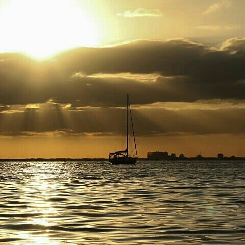 Aquarium «Miami Seaquarium», reviews and photos, 4400 Rickenbacker Causeway, Key Biscayne, FL 33149, USA