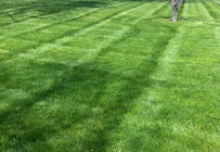 MowJoe Lawn and Landscape - Photo 3 - Car repair in Cedar Rapids, IA, Cedar Rapids