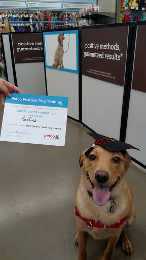 Pet Supply Store «Petco Animal Supplies», reviews and photos, 201 Union St, Waterbury, CT 06706, USA