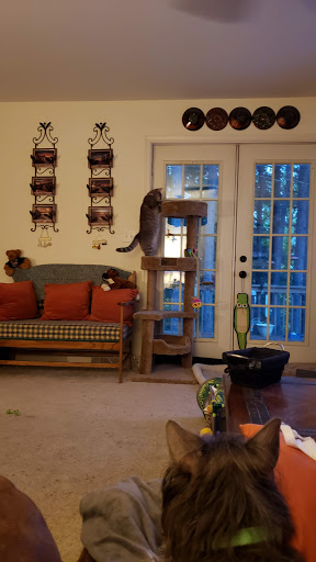 Pet Supply Store «PetSmart», reviews and photos, 248 Westminster Dr, Carlisle, PA 17013, USA