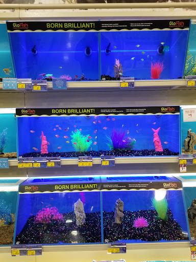 Pet Supply Store «PetSmart», reviews and photos, 2705 E Bidwell St, Folsom, CA 95630, USA