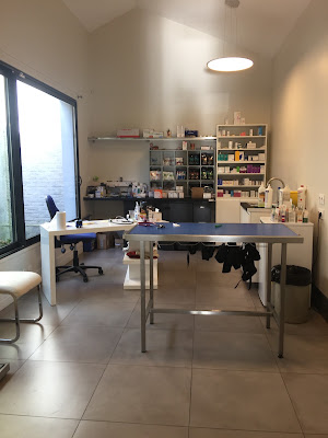 Vétérinaire à Laventie - Dr Filip Senesael à Laventie