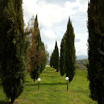 Photo n°1 de l'avis de Gabriela.u fait le 12/04/2018 à 23:30 sur le  Bio Agriturismo Olistico Valle dei Calanchi à Sermugnano