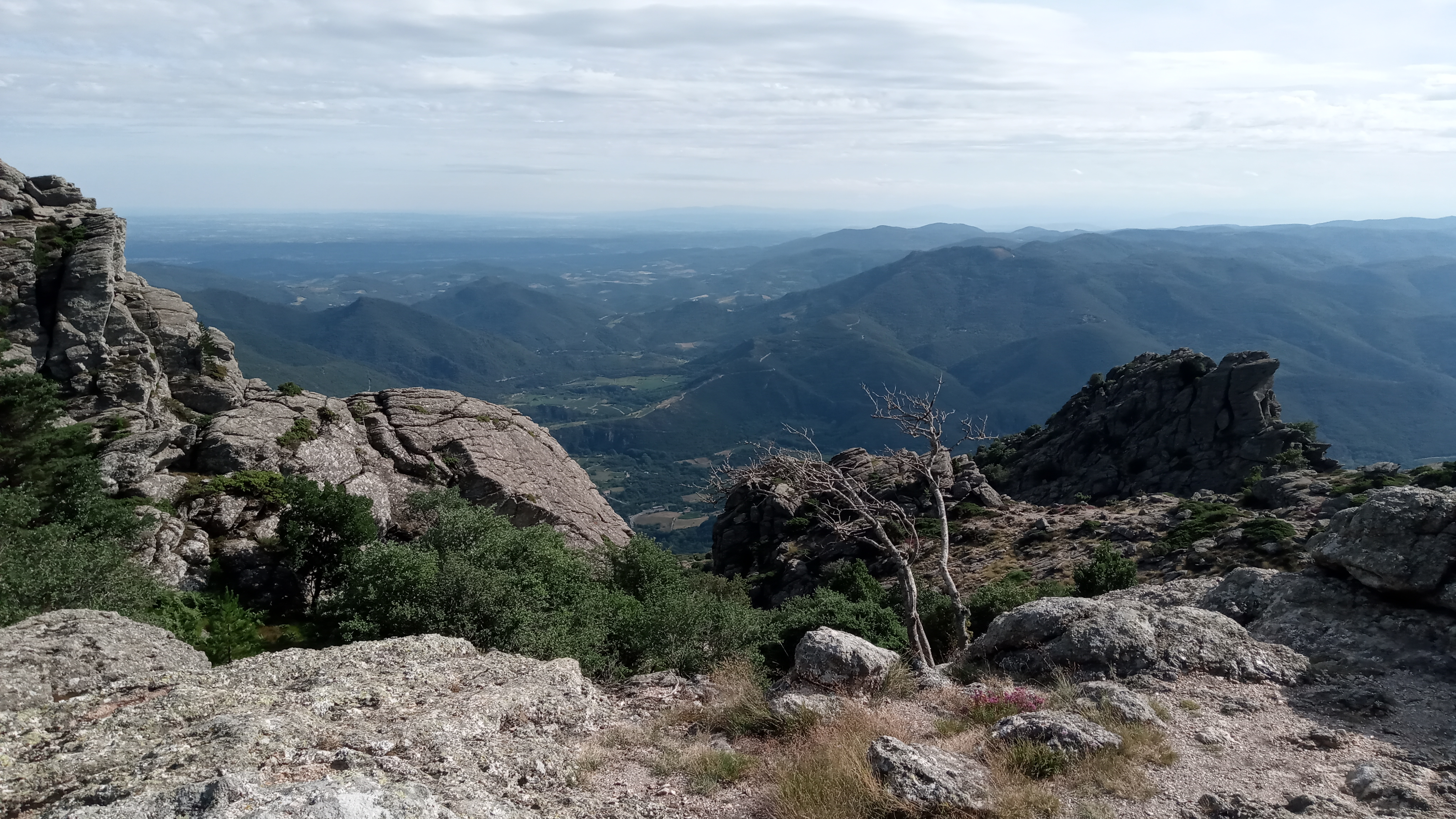Photo n° 1 de l'avis de Mathieu.a fait le 13/08/2021 à 04:57