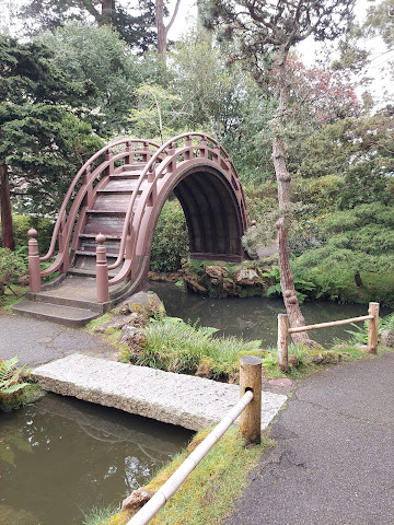 Golden Gate Park by null