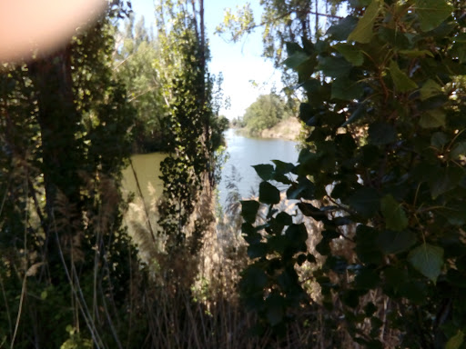 Información y opiniones sobre Curiel Del Duero de Curiel De Duero