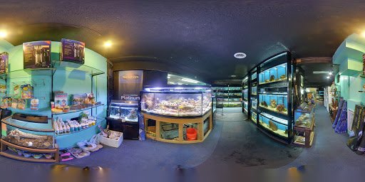 Aquarium Shop «Aquarium Outfitters Carolina», reviews and photos, 823 S Main St, Wake Forest, NC 27587, USA