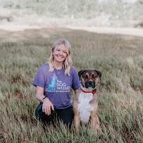 The Dog Wizard Fort Collins - Photo 7 - Car repair in Fort Collins, CO, Fort Collins