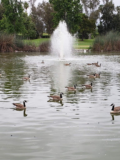 Golf Course «Alhambra Golf Course», reviews and photos, 630 S Almansor St, Alhambra, CA 91801, USA