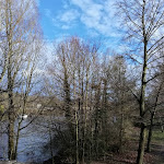 Photo n°3 de l'avis de Michael.r fait le 14/03/2020 à 17:34 sur le  Restaurant Rheingold à Bad Honnef