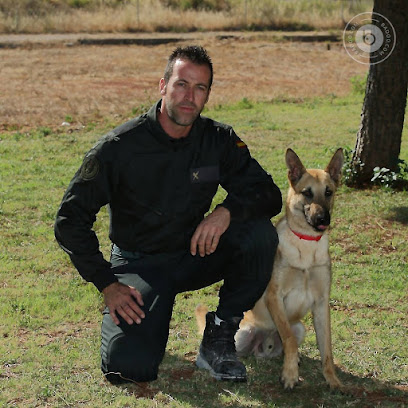 Adiestramiento Valencia (Valencia y Sagunto) en L'Olivereta