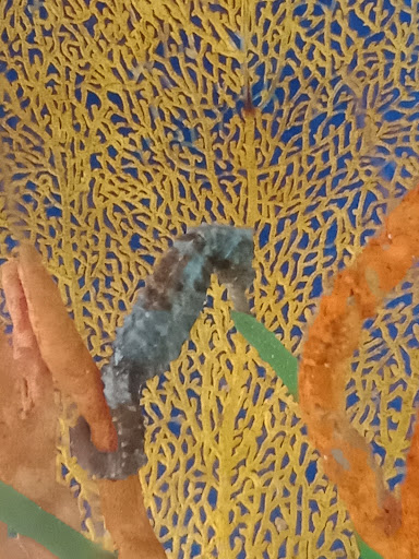 Aquarium «Florida Keys Aquarium Encounters», reviews and photos, 11710 Overseas Hwy, Marathon, FL 33050, USA