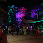 Photo n°1 de l'avis de Carla.i fait le 25/08/2023 à 21:58 sur le  Talea - Orto Botanico à Palermo