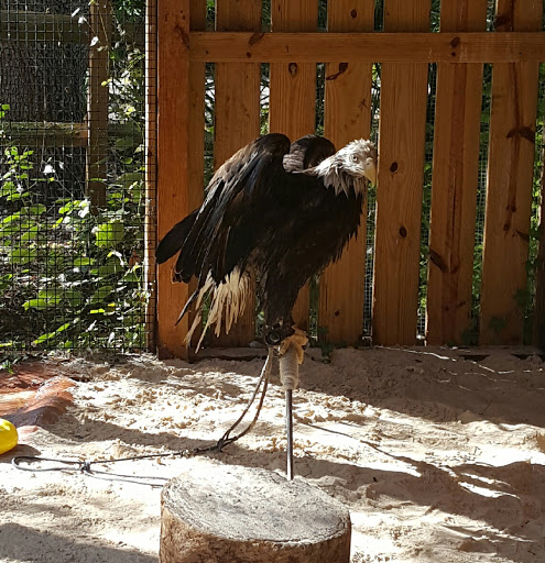 Park «George C. McGough Nature Park - The Narrows», reviews and photos, 11901 146th St N, Largo, FL 33774, USA