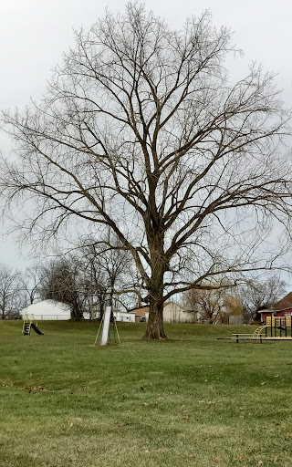 Park «Walters Grove Park», reviews and photos, 4400 Walter Ave, Parma, OH 44134, USA