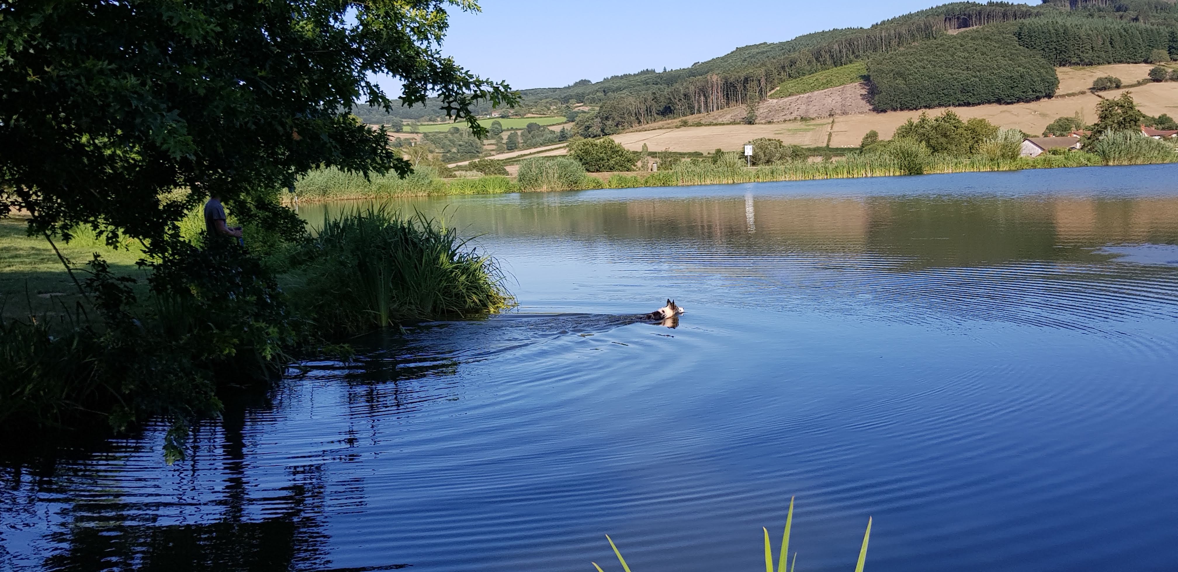 Photo n° 4 de l'avis de Nicole.a fait le 07/08/2019 à 12:56