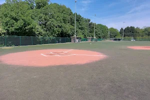 Brussels Kangaroos Baseball and Softball Club image