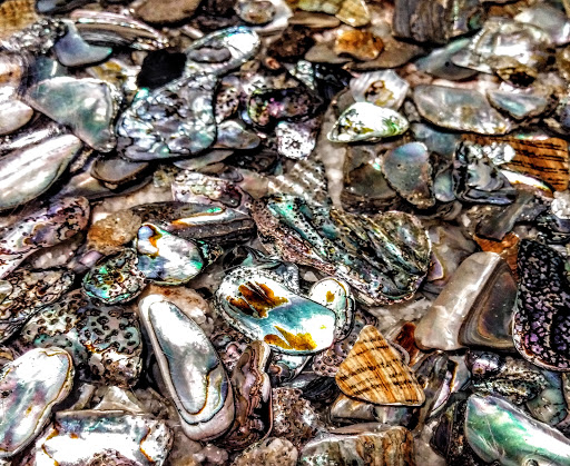 Shopping Mall «Randolph Park Shopping Center», reviews and photos, 1720 S Queen St, York, PA 17403, USA