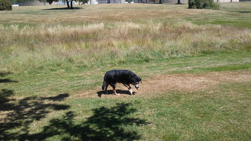 Public Golf Course «Walter Hall Golf Course», reviews and photos, 1226 W Casino Rd, Everett, WA 98204, USA