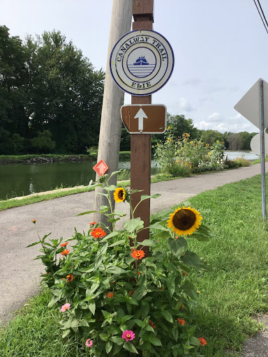 Bicycle Store «Trailside Bicycles», reviews and photos, 16271 Canal Rd, Hulberton, NY 14470, USA