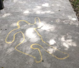 Cerro San Antonio Park photo