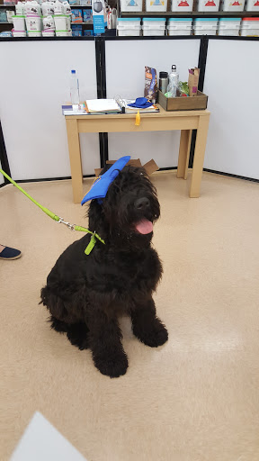 Pet Supply Store «Petco Animal Supplies», reviews and photos, 1019 Cochrane Rd, Morgan Hill, CA 95037, USA