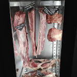 Photo n°1 de l'avis de Paolo.a fait le 04/08/2018 à 22:07 sur le  La Tana del Lucio à Lentate sul Seveso