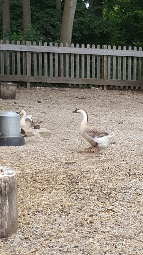Historical Place Museum «Cobblestone Farm», reviews and photos, 2781 Packard Rd, Ann Arbor, MI 48108, USA