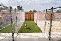 Camp Lisa - Photo 9 - Car repair in Newcastle, CA, Roseville