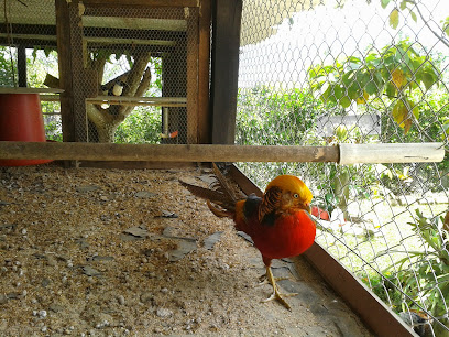 Zoologico De Aves La Fantasía