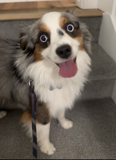 Explore simple wrist tattoo ideas, creative tattoo ideas in Orem, available at Painted Temple Tattoo