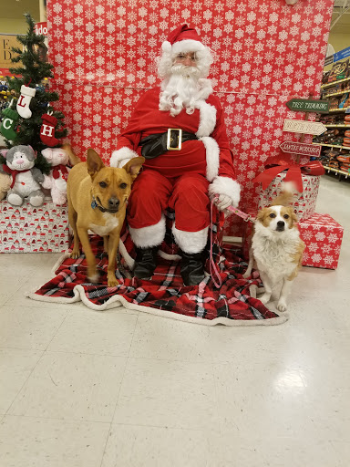 Pet Supply Store «PetSmart», reviews and photos, 6675 S Virginia St, Reno, NV 89511, USA