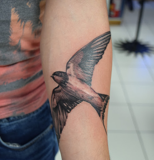 Tattoo Shop «Funky Rooster Tattoo and Art Gallery», reviews and photos, 73 S Grove Ave, Elgin, IL 60120, USA