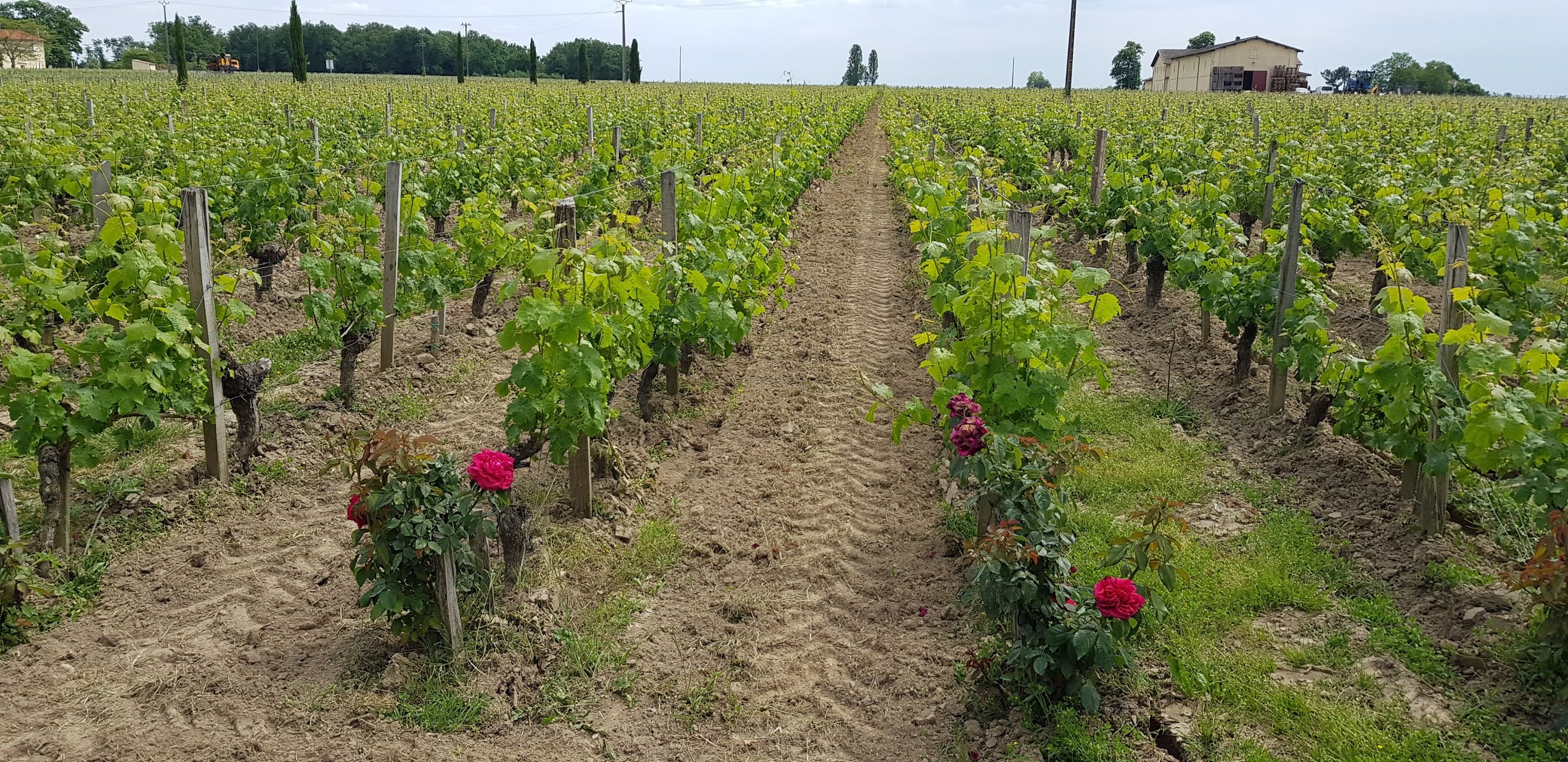 Photo n° 4 de l'avis de Antonio.i fait le 25/05/2019 à 16:18