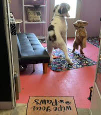 Waggin' Tails Stay And Play - Photo 3 - Car repair in Houma, LA, Houma