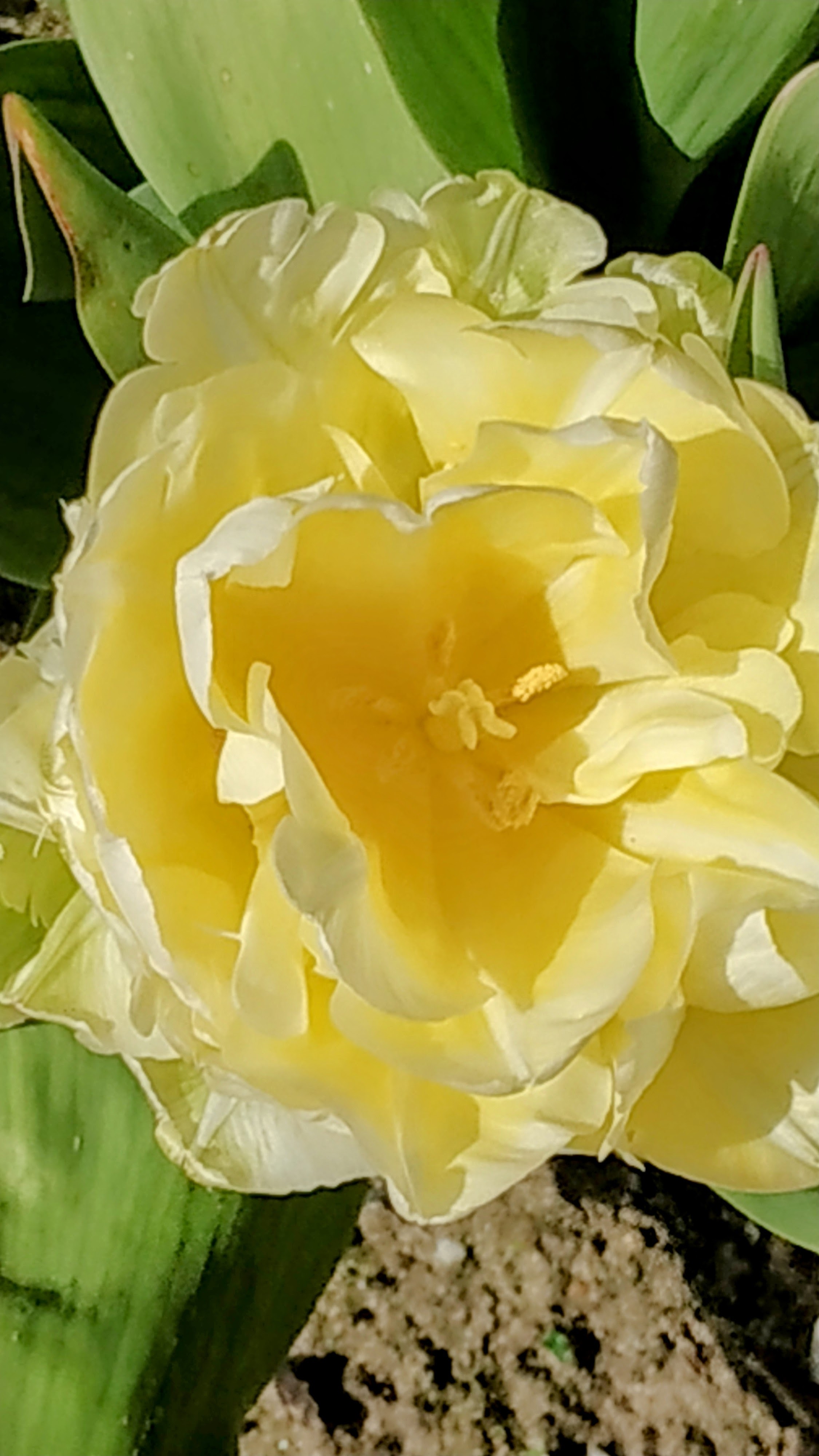 Photo n° 30 de l'avis de The.a fait le 05/04/2023 à 21:57