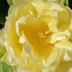 Photo n° 30 de l'avis de The.a fait le 05/04/2023 à 21:57 pour Kaandorp à Plomeur