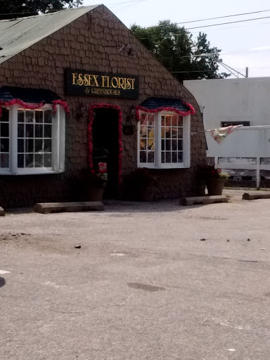 Florist «Essex Florist & Greenhouses», reviews and photos, 341 S Marlyn Ave, Essex, MD 21221, USA