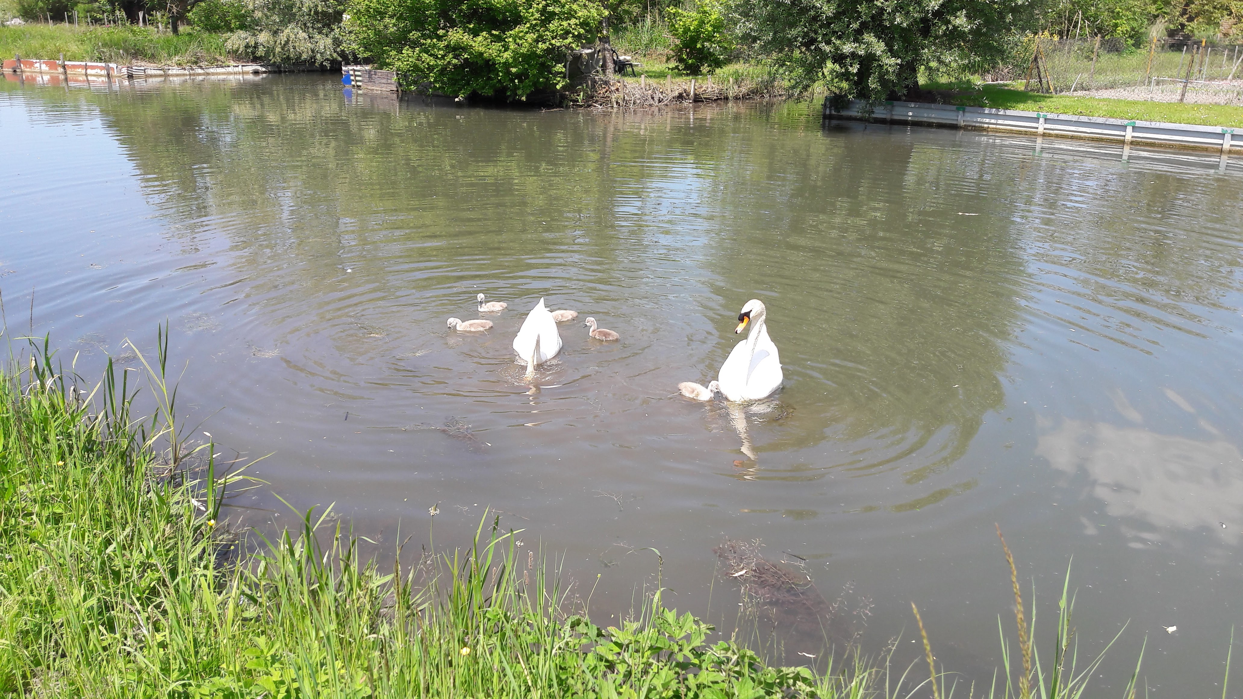 Photo n° 3 de l'avis de jipette.o fait le 20/05/2018 à 14:38